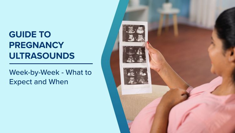 Pregnancy Ultrasound Timeline