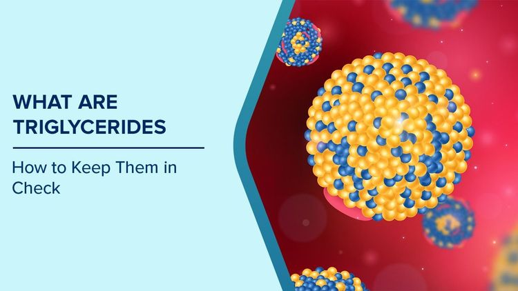What are Normal and High Triglyceride Levels : Best Ways to Reduction and Maintenance | Max Hospital
