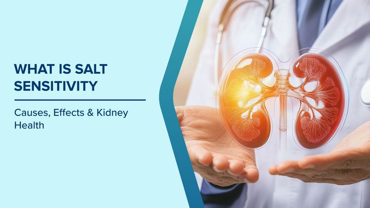 How the Kidneys Regulate Sodium in the Body