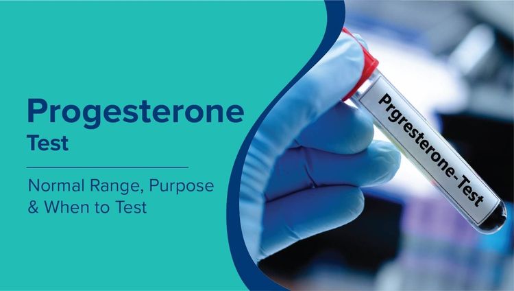Progesterone Test: Normal Range, Purpose & When You Need It