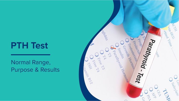 PTH Test: Normal Range and What High or Low Levels Mean