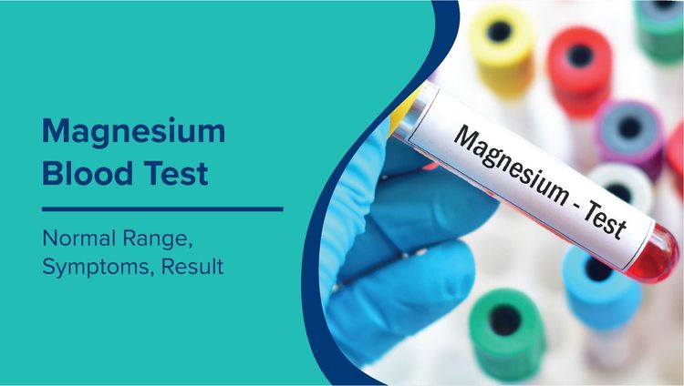Blood Test: Normal Range, Symptoms, Causes and Diet