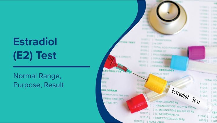 Estradiol Test: Normal Range & Purpose