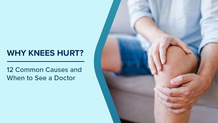 Knee Pain Causes