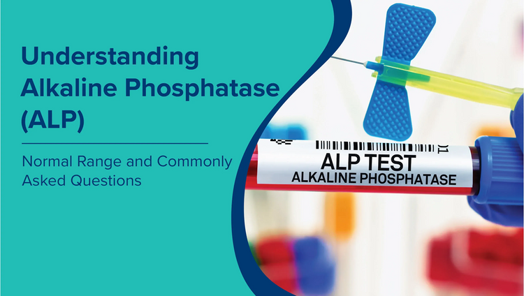क्षारीय फॉस्फेट के स्तर और सामान्य सीमा को समझना: Alkaline Phosphatase in Hindi