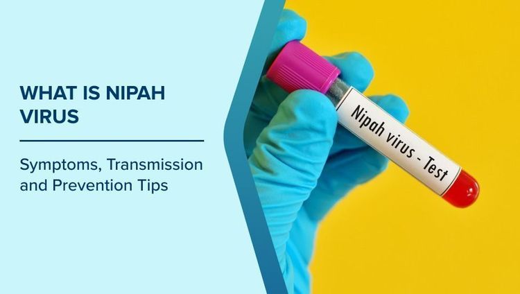 What is Nipah Virus