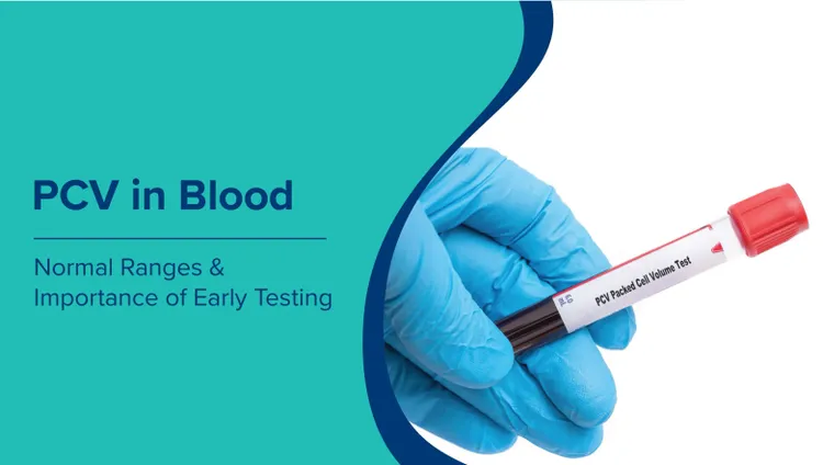 रक्त में पीसीवी (PCV Test in Hindi): यह क्या है, सामान्य सीमा और प्रारंभिक परीक्षण का महत्व